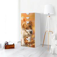 Möbel Klebefolie Jack the Puppy - IKEA Smastad Kommode - 5 Schubladen - Kinderzimmer