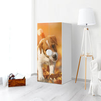 Möbelfolie Jack the Puppy - IKEA Smastad Schrank - 2 große Türen - Kinderzimmer