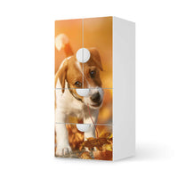 Möbelfolie Jack the Puppy - IKEA Smastad kombiniert - 2 Schubladen und 2 kleine Türen - weiss