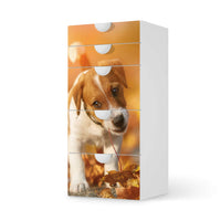 Möbel Klebefolie Jack the Puppy - IKEA Smastad Kommode - 5 Schubladen - weiss