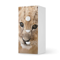 Möbelfolie Simba - IKEA Smastad kombiniert - 2 Schubladen und 2 kleine Türen - weiss