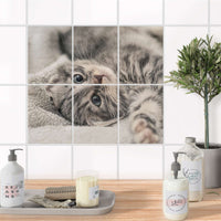 Fliesenaufkleber 15x20 cm Bad - Kitty the Cat