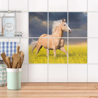 Fliesenaufkleber 15x20 cm Küche - Wildpferd