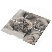 Fliesenaufkleber 15x20 cm Selbstklebend - Kitty the Cat