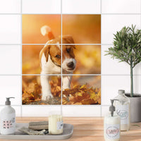 Fliesenfolie 20x15 cm Bad - Jack the Puppy