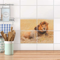 Fliesenfolie 20x15 cm Küche - Lion King