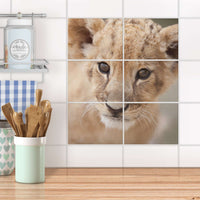 Fliesenfolie 20x15 cm Küche - Simba