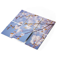 Fliesenfolie 20x15 cm Selbstklebend - Apple Blossoms