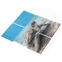 Fliesenfolie 20x15 cm Selbstklebend - Green Sea Turtle