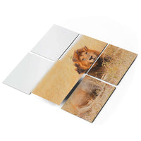 Fliesenfolie 20x15 cm Selbstklebend - Lion King