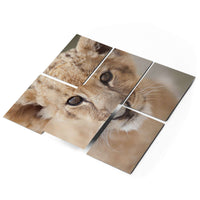 Fliesenfolie 20x15 cm Selbstklebend - Simba