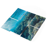 Fliesenfolie 20x15 cm Selbstklebend - Underwater World
