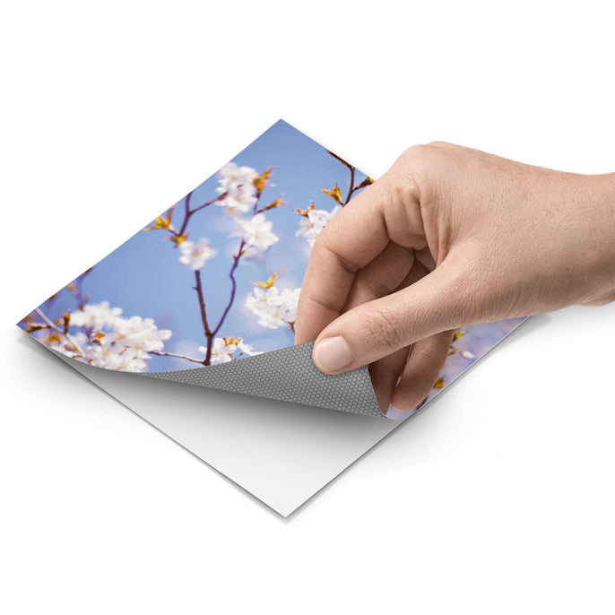 Fliesenfolie - Apple Blossoms - Do-it-yourself - creatisto pds1