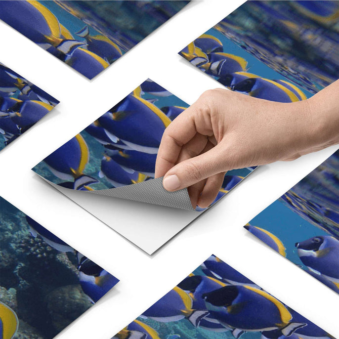 Fliesenfolie - Fish swarm - Do-it-yourself - creatisto pds1