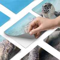 Fliesenfolie - Green Sea Turtle - Do-it-yourself - creatisto pds1