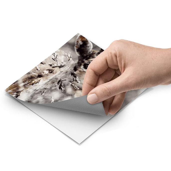 Fliesenfolie - Hirsch - Do-it-yourself - creatisto pds1