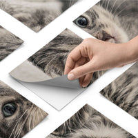 Fliesenfolie - Kitty the Cat - Do-it-yourself - creatisto pds1