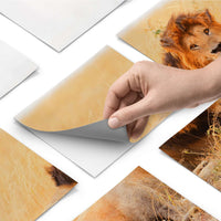 Fliesenfolie - Lion King - Do-it-yourself - creatisto pds1