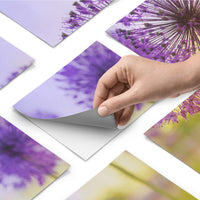 Fliesenfolie - Spring Flower - Do-it-yourself - creatisto pds1