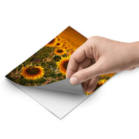 Fliesenfolie - Sunflowers - Do-it-yourself - creatisto pds1