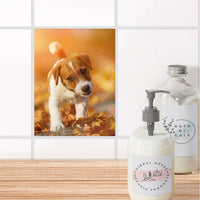 Fliesensticker Bad - Jack the Puppy
