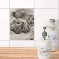Fliesensticker Bad - Kitty the Cat
