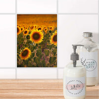 Fliesensticker Bad - Sunflowers