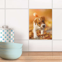 Fliesensticker Küche - Jack the Puppy