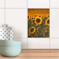 Fliesensticker Küche - Sunflowers
