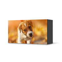 Folie für Möbel Jack the Puppy - IKEA Besta Regal Quer 2 Türen - schwarz