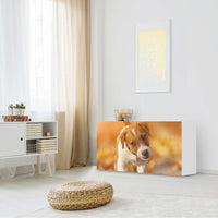 Folie für Möbel Jack the Puppy - IKEA Besta Regal Quer 2 Türen - Wohnzimmer