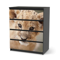 Folie für Möbel Simba - IKEA Malm Kommode 4 Schubladen - schwarz