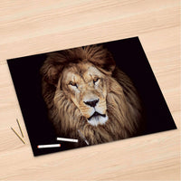 Folienbogen Wild Eyes - 120x80 cm