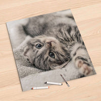 Folienbogen Kitty the Cat - 60x60 cm