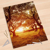 Folienbogen Tree Sunlight - 80x120 cm