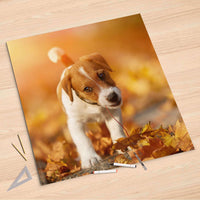 Folienbogen Jack the Puppy - 90x90 cm