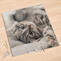 Folienbogen Kitty the Cat - 90x90 cm