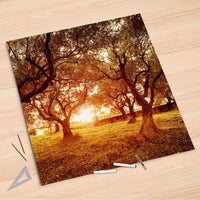 Folienbogen Tree Sunlight - 90x90 cm