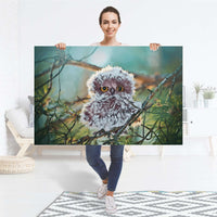 Selbstklebender Folienbogen Wuschel - Größe: 120x80 cm