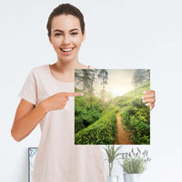 Selbstklebender Folienbogen Green Tea Fields - Größe: 30x30 cm