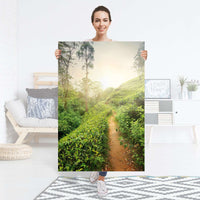 Selbstklebender Folienbogen Green Tea Fields - Größe: 80x120 cm