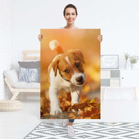 Selbstklebender Folienbogen Jack the Puppy - Größe: 80x120 cm