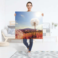 Selbstklebender Folienbogen Dandelion - Größe: 90x90 cm
