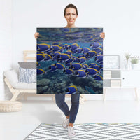 Selbstklebender Folienbogen Fish swarm - Größe: 90x90 cm
