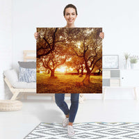 Selbstklebender Folienbogen Tree Sunlight - Größe: 90x90 cm