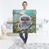 Selbstklebender Folienbogen Wuschel - Größe: 90x90 cm