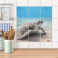 Klebefliesen Küche - Green Sea Turtle