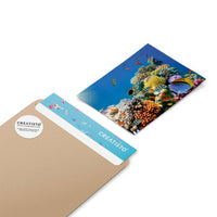 Klebefliesen Coral Reef - Paket - creatisto pds2