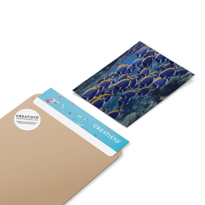 Klebefliesen Fish swarm - Paket - creatisto pds2