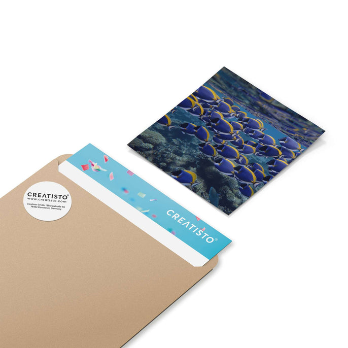 Klebefliesen Fish swarm - Paket - creatisto pds2